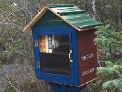 10 steps to your own little free library